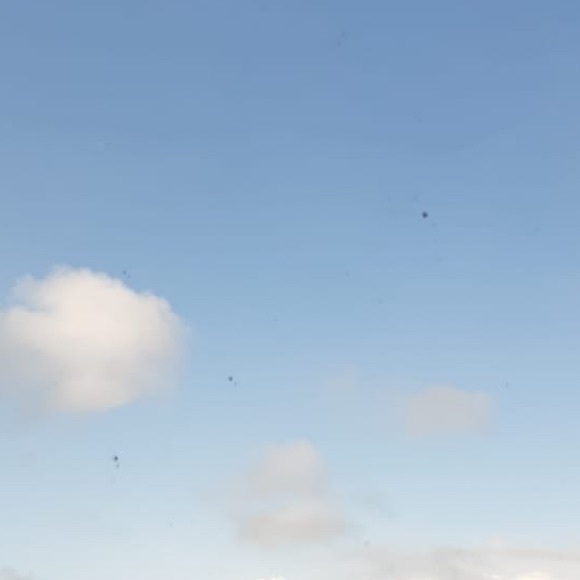 Meet your Posher, Kristina - Picture 1 of 1